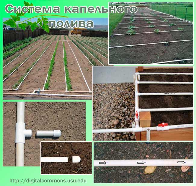 2 типа кирпичных дымоходов для печей, которые можно построить своими руками: классический и извилистый