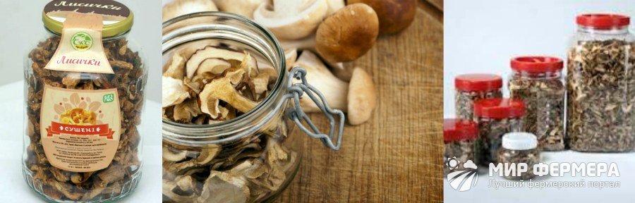 Как правильно сушить грибы в русской печи?