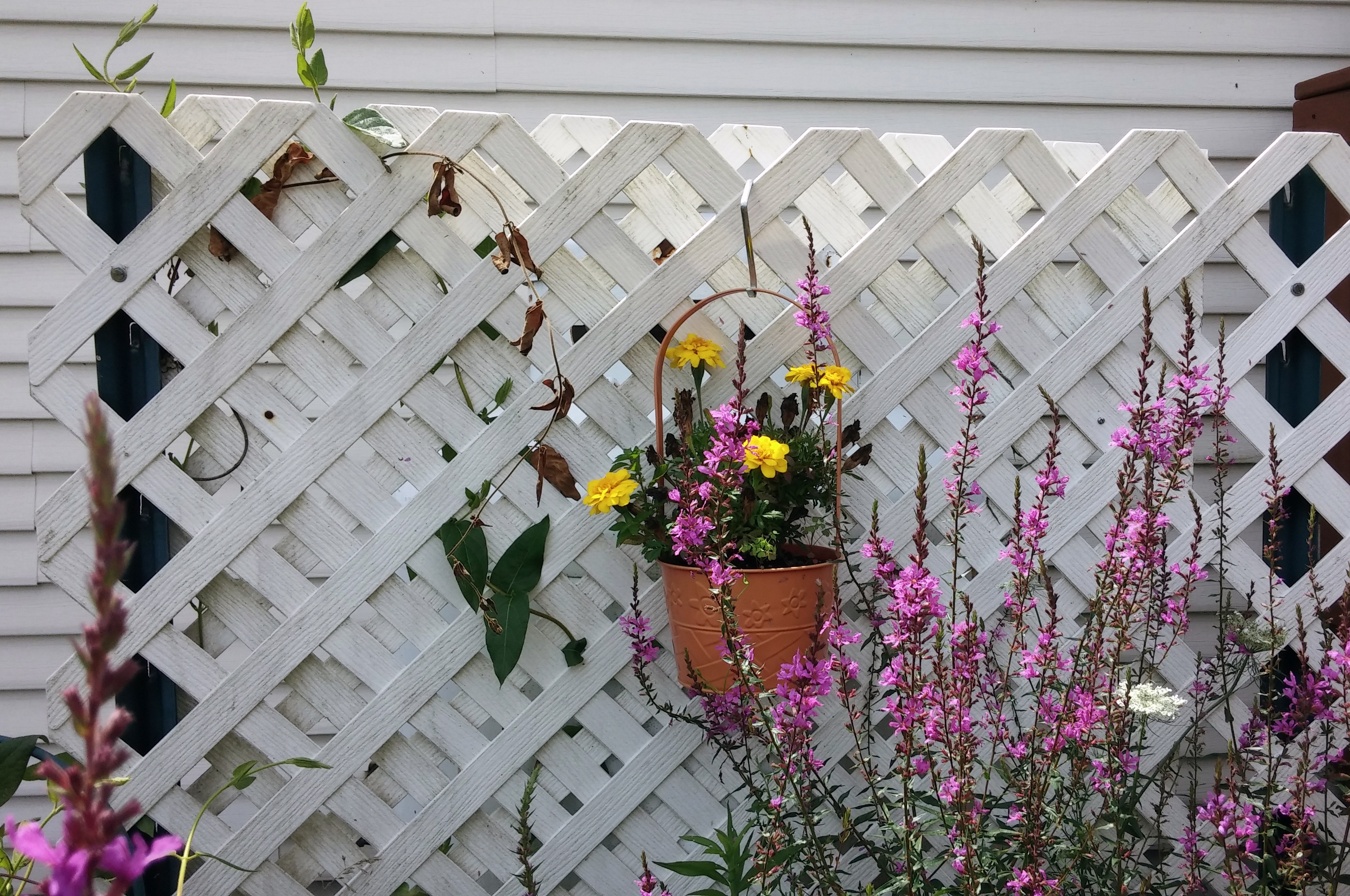 Кашпо на заборе в саду фото